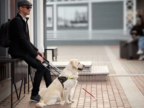 Czy każdy pies może być przewodnikiem?