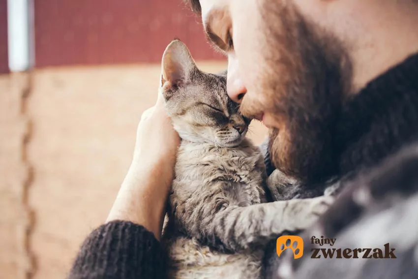 Kot przytula się do twarzy mężczyzny