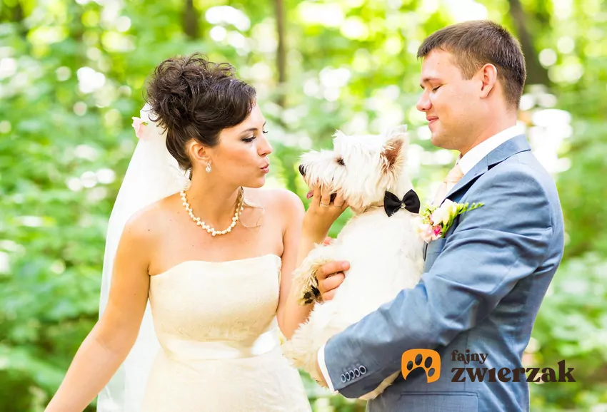 Wesele to hałas, tłum ludzi, nowe zapachy i brak znajomych punktów odniesienia. Nawet najspokojniejszy pies może w takich okolicznościach zacząć się stresować i przejawiać problemy z zachowaniem Nowożeńcy i pies