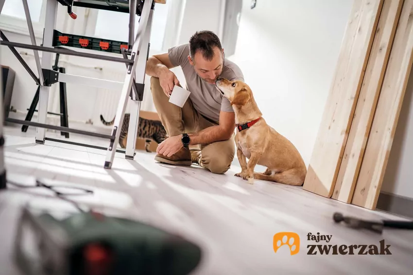Mężczyzna i pies siedzą w remontowanym pomieszczeniu