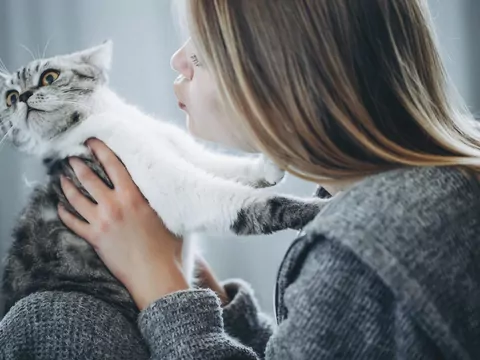 Dlaczego kot nagle ucieka po głaskaniu?