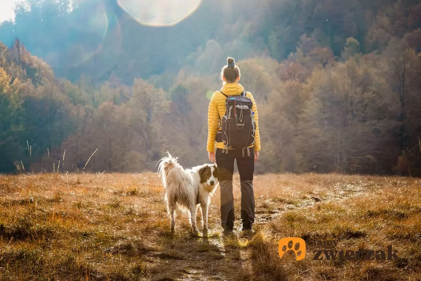 Kobieta wędrująca z psem