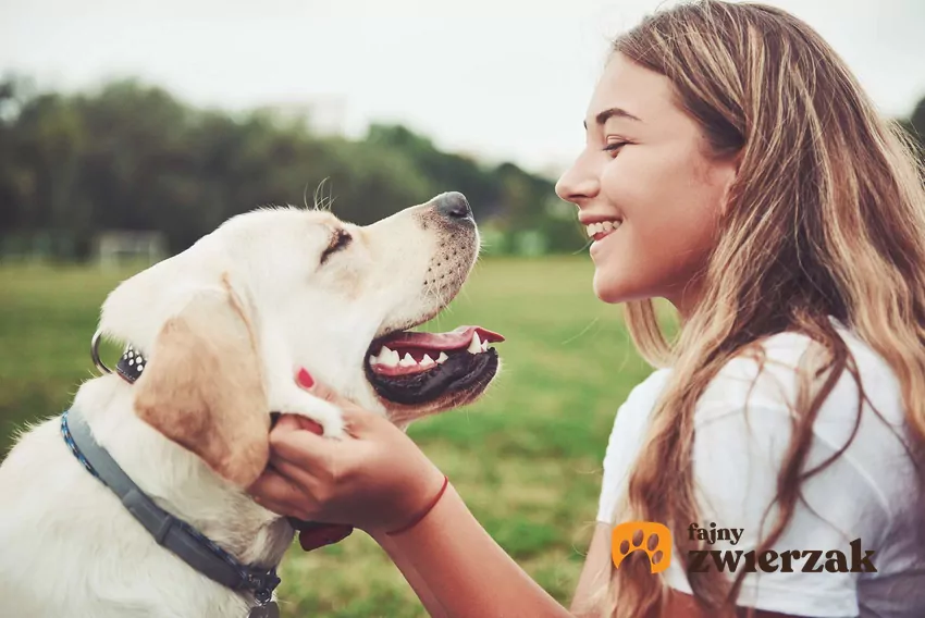 Zwierzęcy bohaterzy potrafią być bardzo odważni Radosna kobieta i pies patrzą sobie w oczy