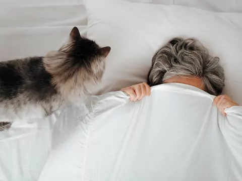 Dlaczego kot budzi mnie o 4:00 rano