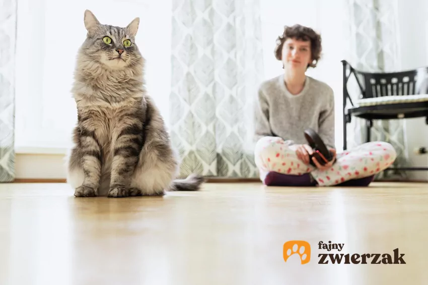 Kot i dziewczyna w pokoju