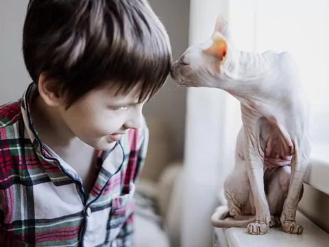 Dlaczego kot wącha włosy?