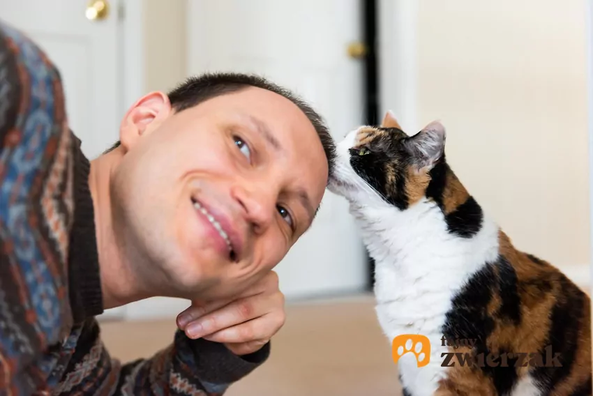 Nie odsuwaj kota, gdy wącha Twoje włosy – to dla niego ważny moment bliskości Kot wącha mężczyznę