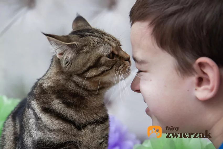 W świecie kotów kontakt węchowy jest formą okazania zaufania i przynależności Kot wącha chłopca