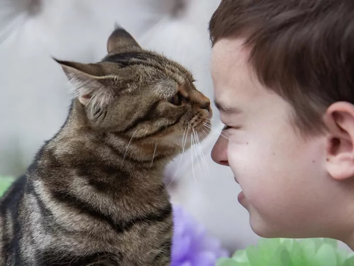 Dlaczego kot wącha twarz?