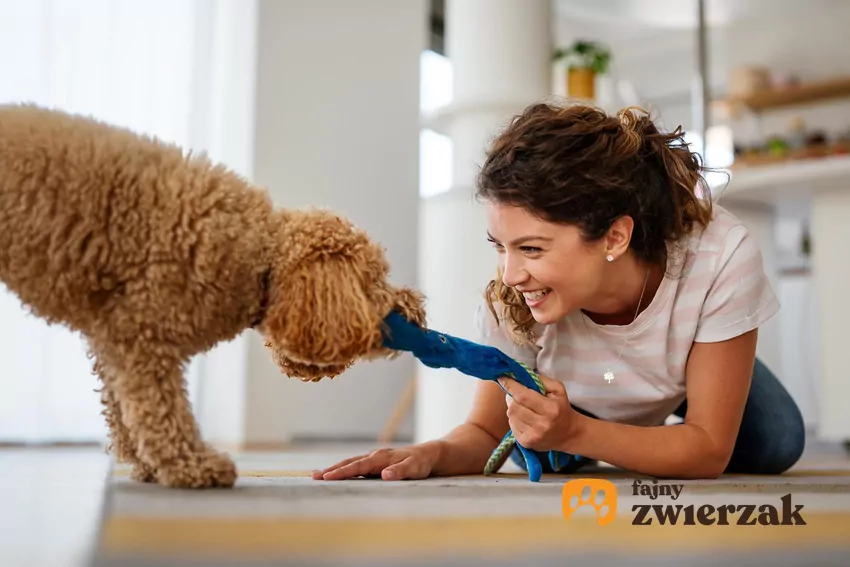 Wspólna zabawa w przeciąganie to jedna z najlepszych form spędzania czasu z psem Kobieta przeciąga się z psem