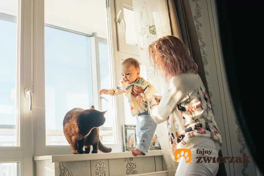 Kobieta pokazuje dziecko kotu