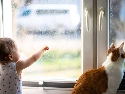 Posiadanie zwierzaka a rozwój emocjonalny dzieci