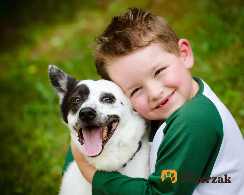 Brak sympatii do dzieci często wynika po prostu z… braku doświadczenia. Pies, który nigdy nie przebywał w towarzystwie spokojnych, dobrze zachowujących się dzieci, może być zestresowany ich obecnością Chłopiec przytula psa