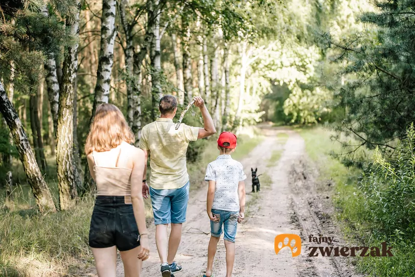 Nawet najbardziej przywiązany do opiekuna pies potrafi nie reagować na komendy przywołujące Rodzina z psem na spacerze w lesie