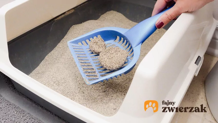 Łopatka ze zbrylonym żwirkiem