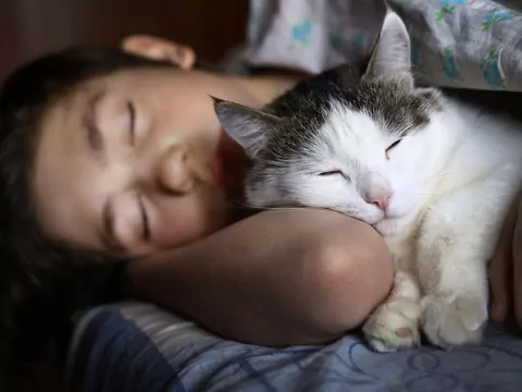 Dlaczego kot trąca nosem w nocy?