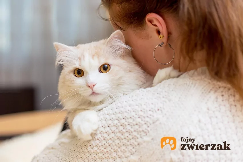 Mruczący pupil jest w stanie nie tylko zauważyć emocje, ale również je wyczuć Kot na ramieniu kobiety