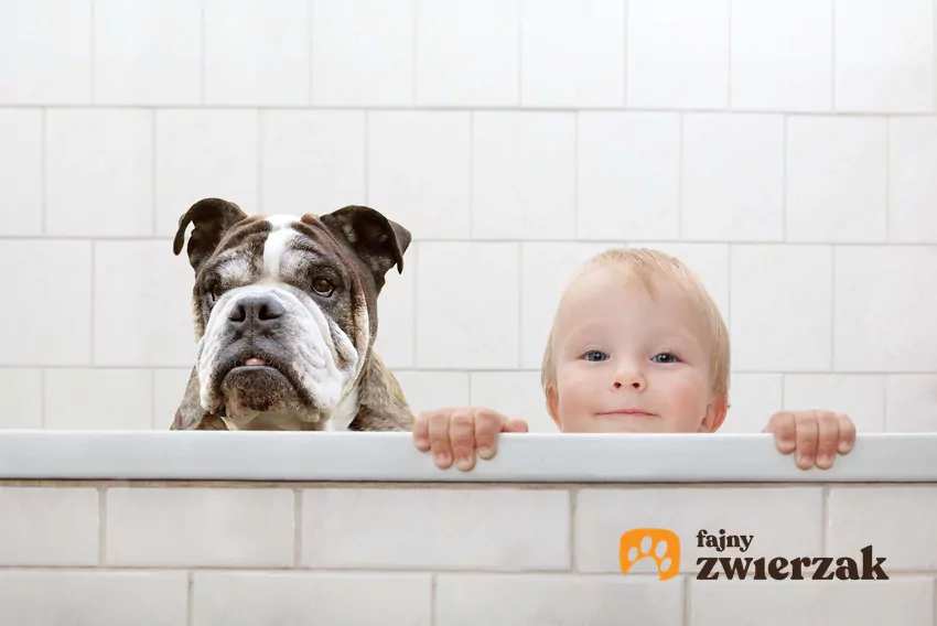 Wanna może być dla psa przestrzenią do zabawy i wypoczynku Pies i dziecko siedzą razem w wannie