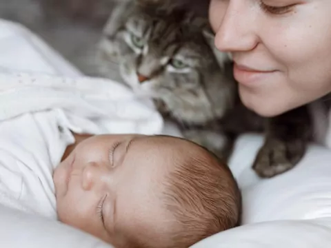 Zapoznanie kota z niemowlęciem