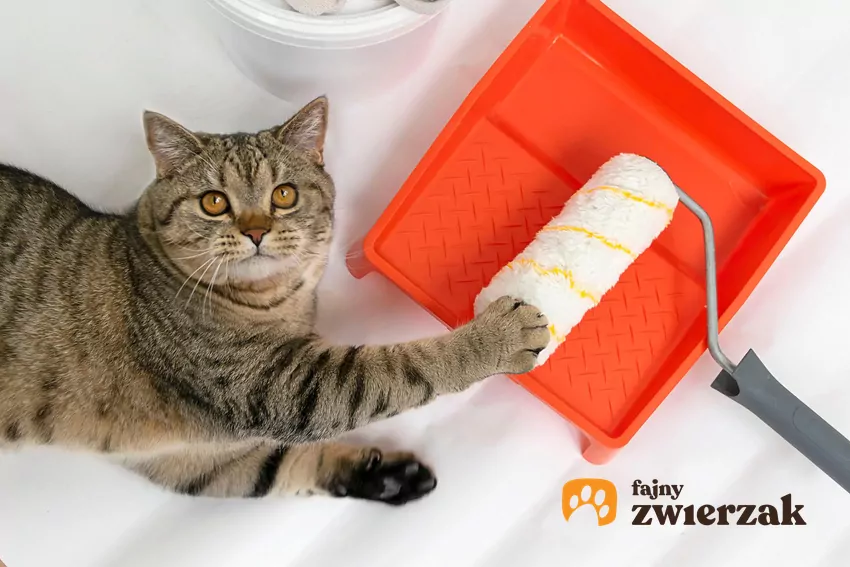 Kot dotyka wałek malarski