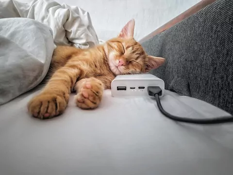 Dlaczego kot siedzi na ładowarce?