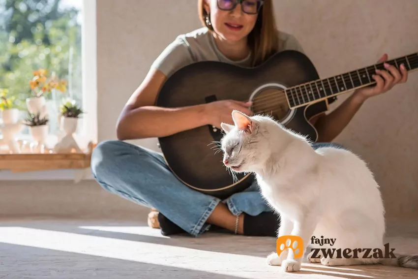 Koty najlepiej reagują na „muzykę gatunkowo-specyficzną” – czyli kompozycje, które wykorzystują częstotliwości, tempo i dźwięki przypominające kocią komunikację Kot i kobieta grająca na gitarze