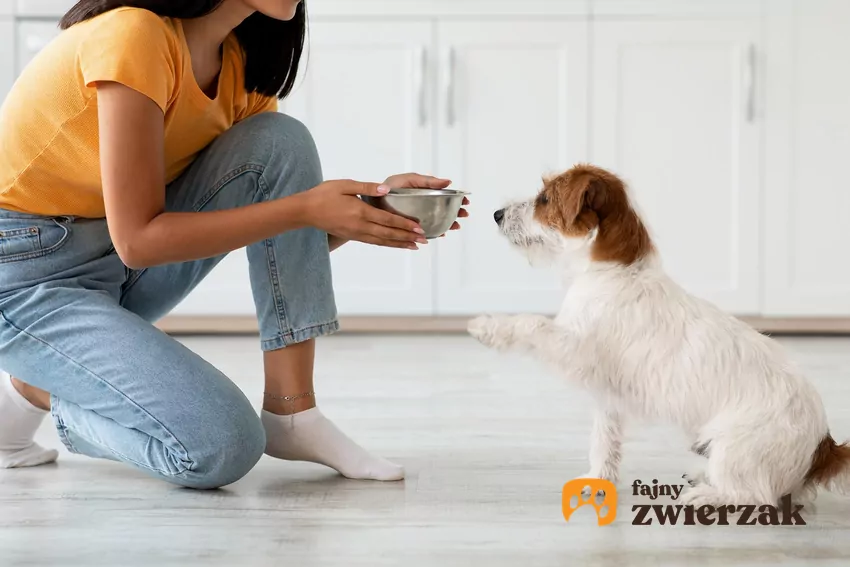 Kobieta podaje miskę psu