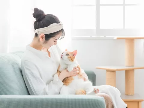 Jak zrobić „koci pokój” w kawalerce?