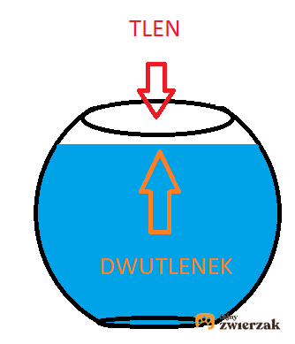 Schemat natleniania wody w kuli