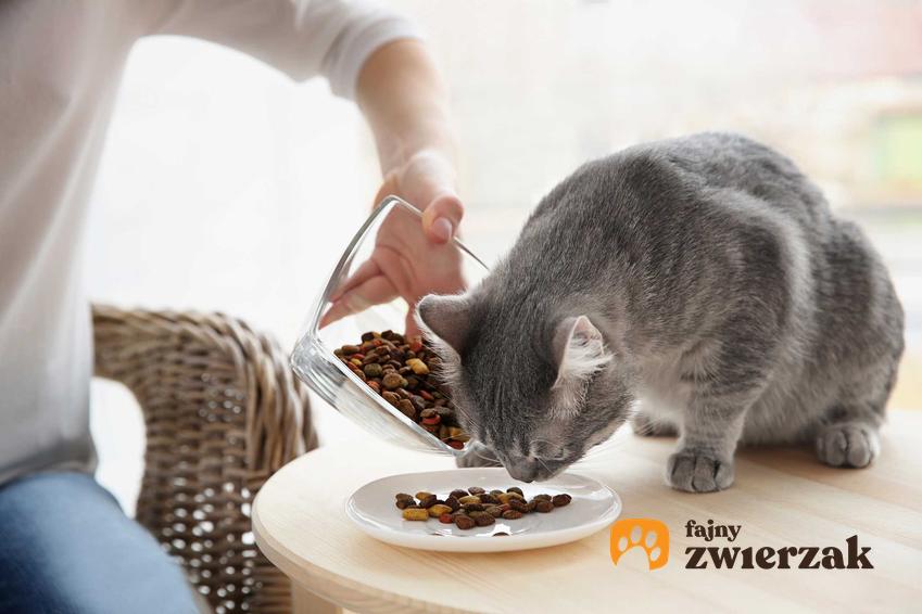 Karma Purina Friskies na talerzyku, a także ceny, rodzaje karmy oraz składniki odżywcze dla kotów