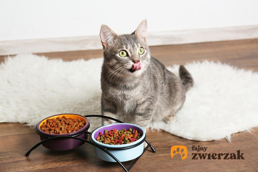 Kot jedzący karmę z miski oraz dla karma dla kota Happy Cat, jej rodzaje, cena i skład