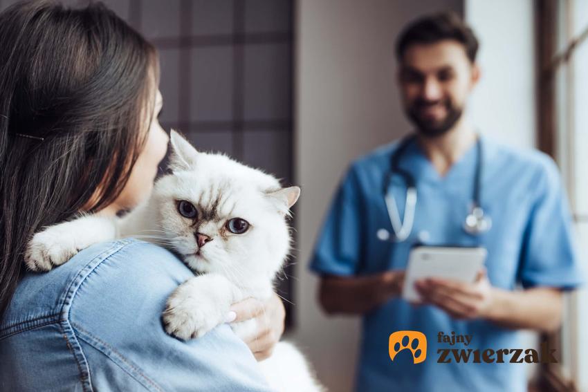 Kobieta trzyma na rękach białego kota, a naprzeciwko stoi uśmiechnięty lekarz weterynarii, opowieści z zakładów weterynaryjnych czyli psy bez kagańców i komentowanie cen
