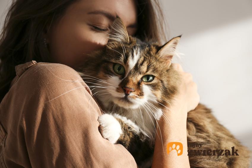Kobieta przytulająca kota, a także jak odkłaczyć kota domowymi sposobami i nie tylko