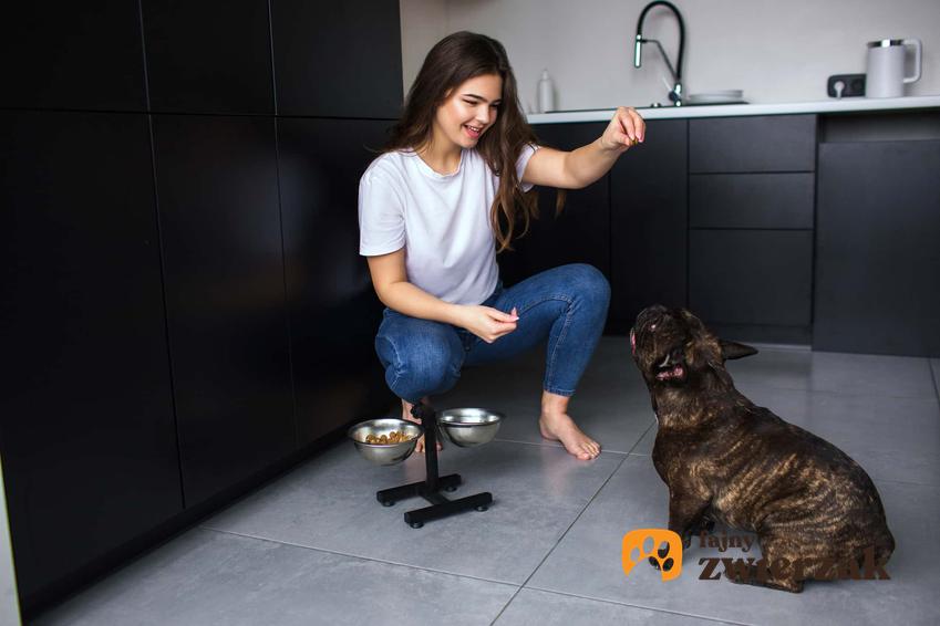Kobieta próbuje zachęcić psa do jedzenia, co robić kiedy pies je bardzo łapczywie, kot z nadmiernym apetytem