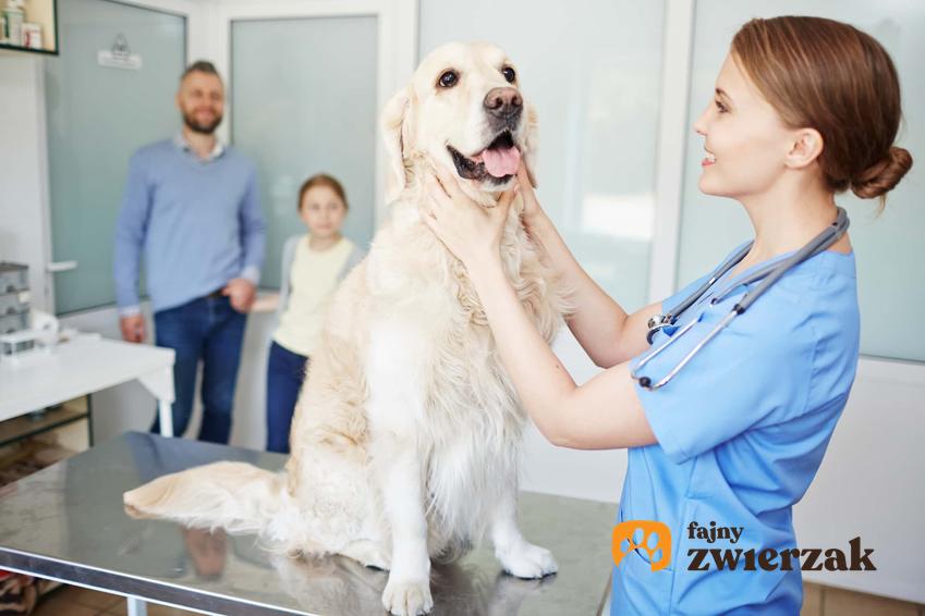 Rodzina z psem w gabinecie weterynaryjnym, pies badany przez uśmiechniętą panią weterynarz, jak powinna wyglądać postawa właściciela zwierzęcia w gabinecie weterynaryjnym, jakie są objawy stresu zwierzęcia podczas wizyty u weterynarza
