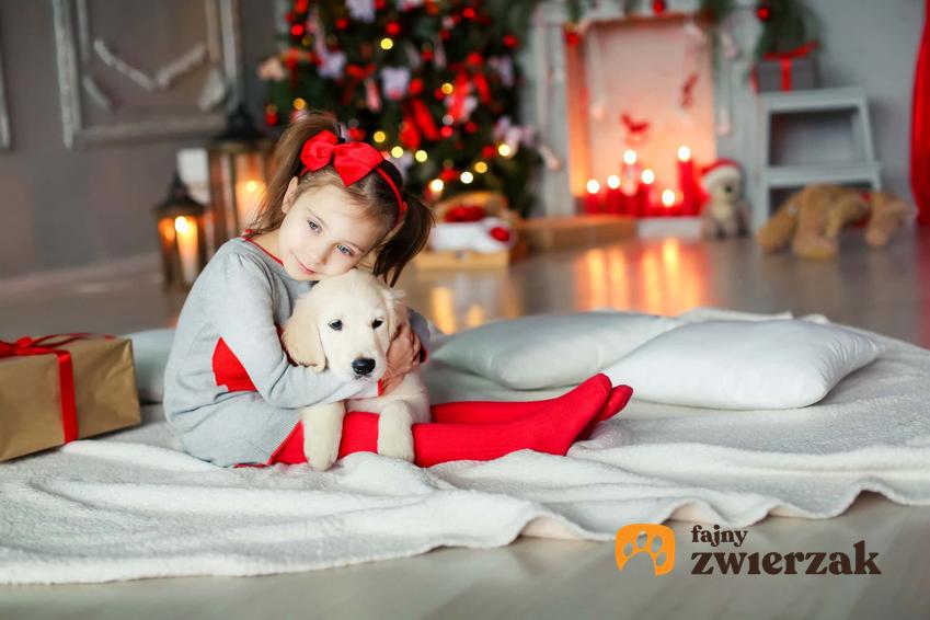 Dziewczynka siedząca na łóżku i przytulająca szczeniaka, szczeniak na świąteczny prezent, czy pies to dobry pomysł na prezent pod choinkę