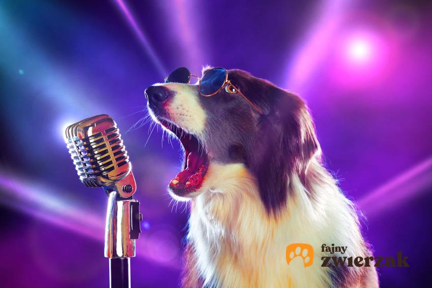 Pies śpiewający do mikrofonu na tle fioletowych smug światła, piosenki z dzieciństwa o psach