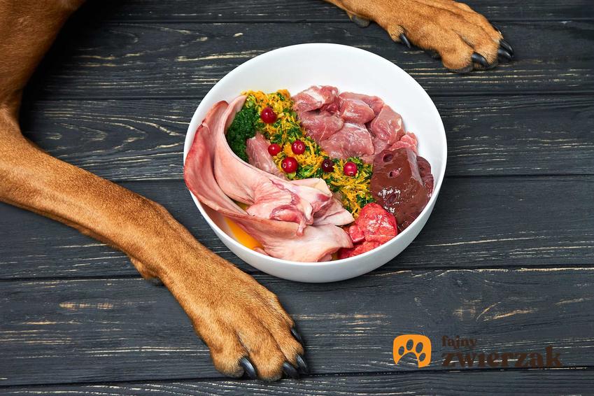 Surowe mięso dla psa, a także porady, jak gotować mięso dla psa i zdrowa dieta krok po kroku