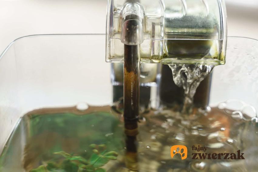 Filtr kaskadowy w akwarium do oczyszczania wody, a także działanie oraz wykorzystanie filtra tego rodzaju