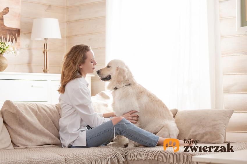 Kobieta i biały labrador retriver siedzący na kanapie, a także informacje, ile żyją labradory