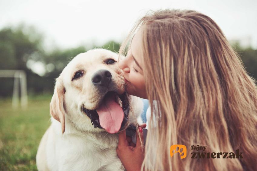 Przyjaźń między człowiekiem a psem, a także informacje, jaka rasa psa do kogo pasuje najbardziej