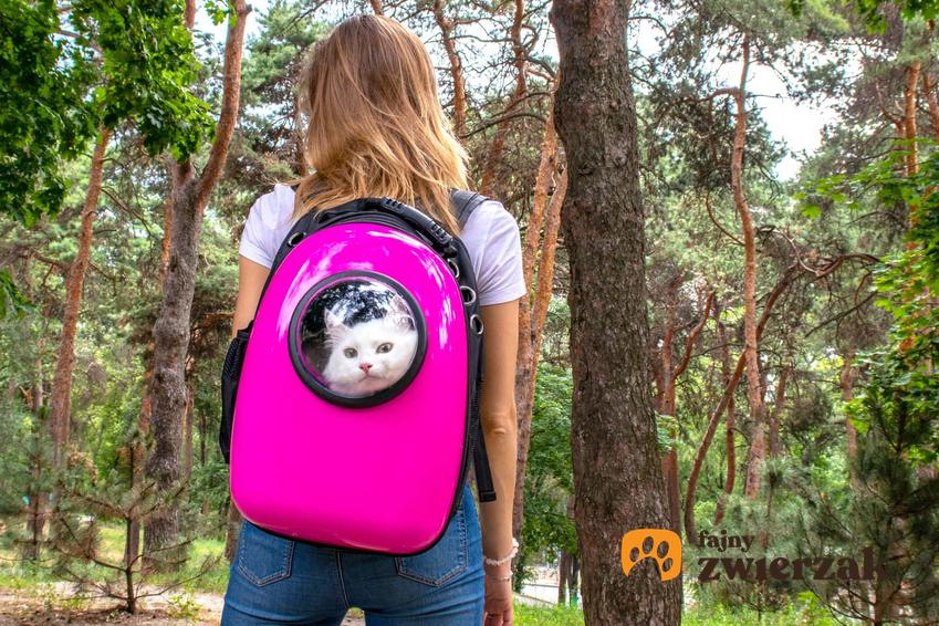 Dziewczynka niosąca kota w plecaku, a także jaki plecak dla kota i jak używać plecaka i toreb dla kotów