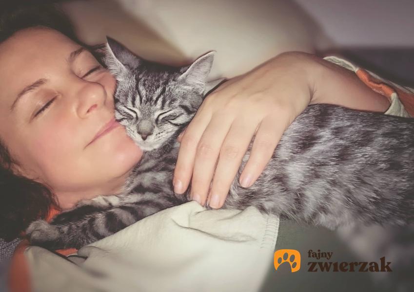 Kot przytulający się do właściciela, a także czy koty przywiązują się do ludzi i żywią uczucia do swoich właścicieli