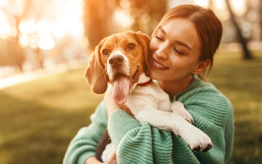 Wszystko, co musisz wiedzieć o nicieniach płucnych u psa