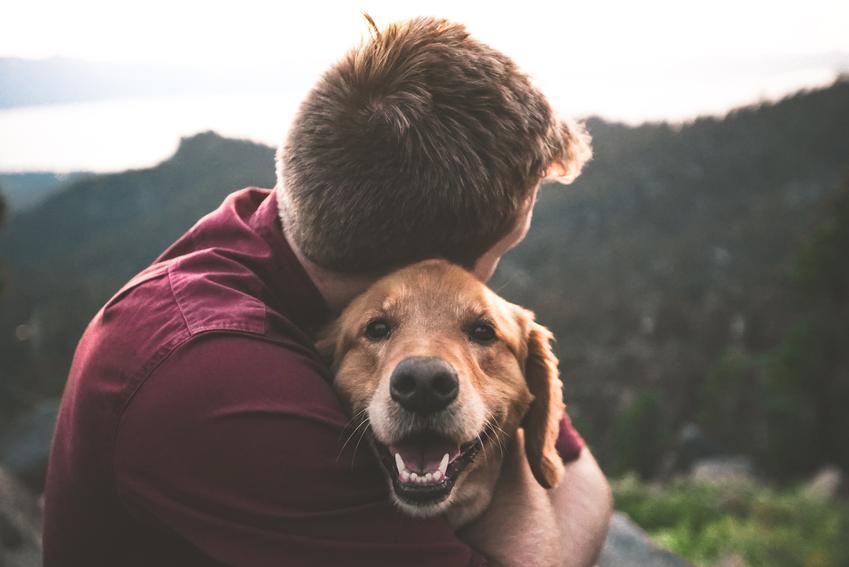 Czy pies Cię kocha? 7 dowodów psiej miłości