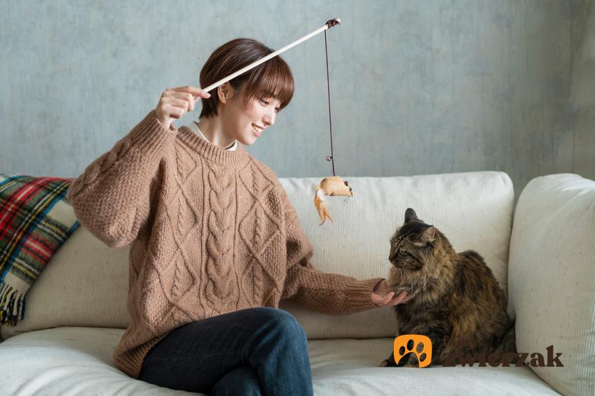 Kobieta bawiąca się z kotem wędką, a także informacje, dlaczego kot nie chce się bawić