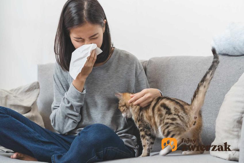 Kobieta walcząca z przeziębieniem obok kota, a także niebezieczne choroby przenoszone przez koty krok po kroku