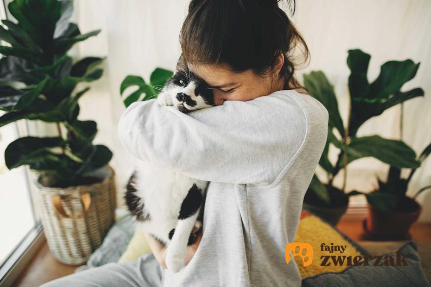Przytulanie kota przez właścicielkę, a także czy kot może zastąpić dziecko i jak traktować kota