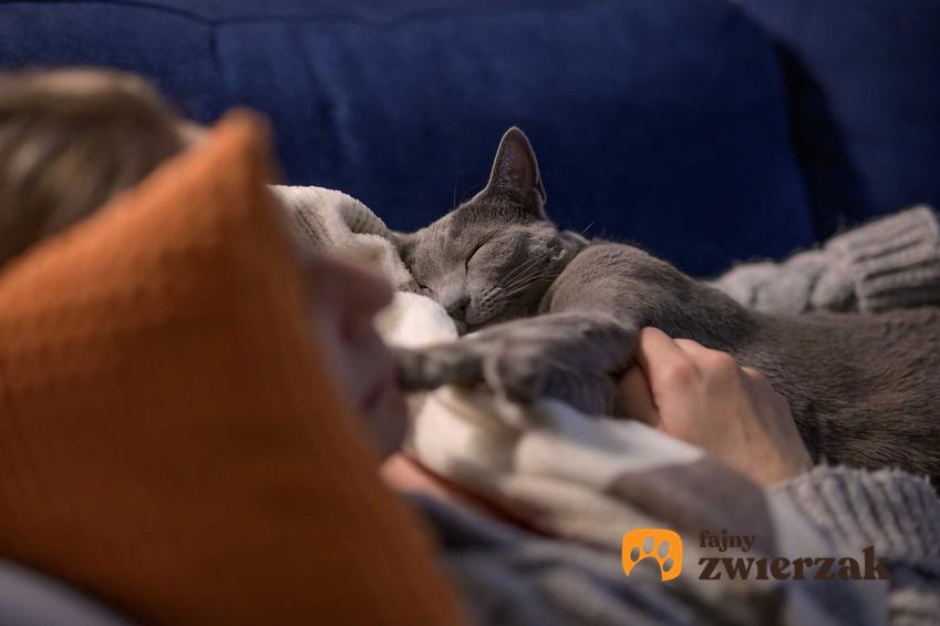 Kot przytulający się z właścicielką, a także kot jako członek rodziny i czy kot może zastąpić dziecko