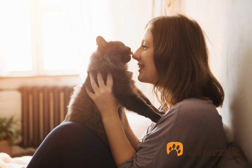 Kobieta z kotem, a także najgorsze typy kocich opiekunów, czyli jakie błędy popełniamy w zajmowaniu się kotami